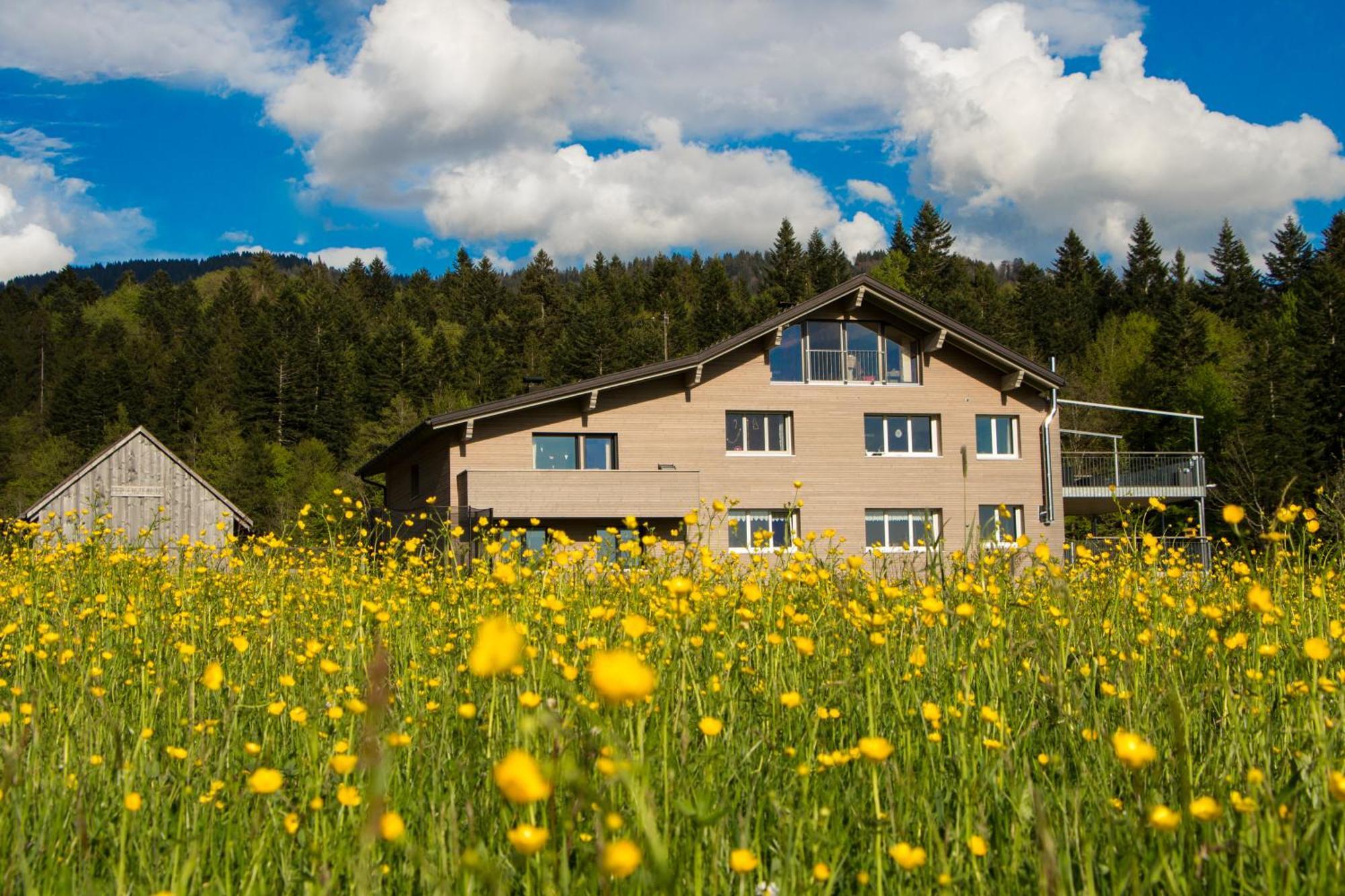 Haus Feurstein Apartment Hittisau Exterior foto